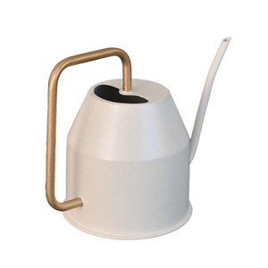 Brass and Galvanized Color Choice Small Steel Galvanized Metal Indoor Plant Watering Can Watering Pot wholesale Supplier