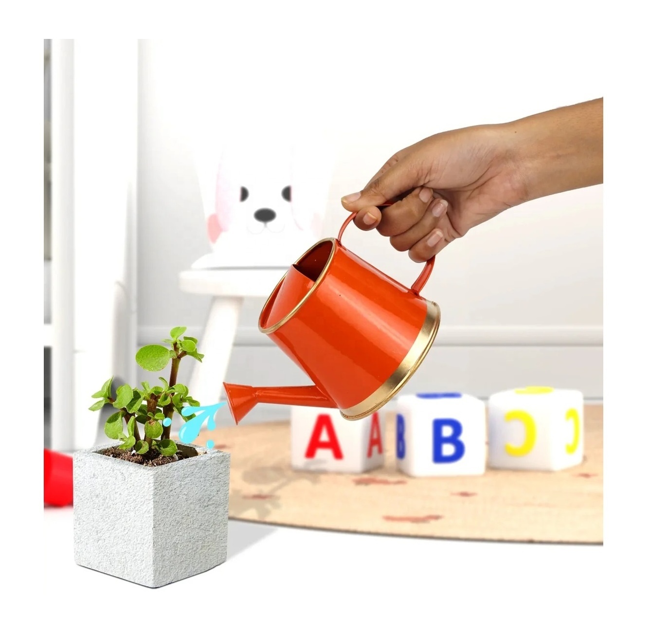 Multi Color Choice Off White Small Steel Galvanized Metal Indoor Plant Watering Can Watering Pot wholesale Supplier