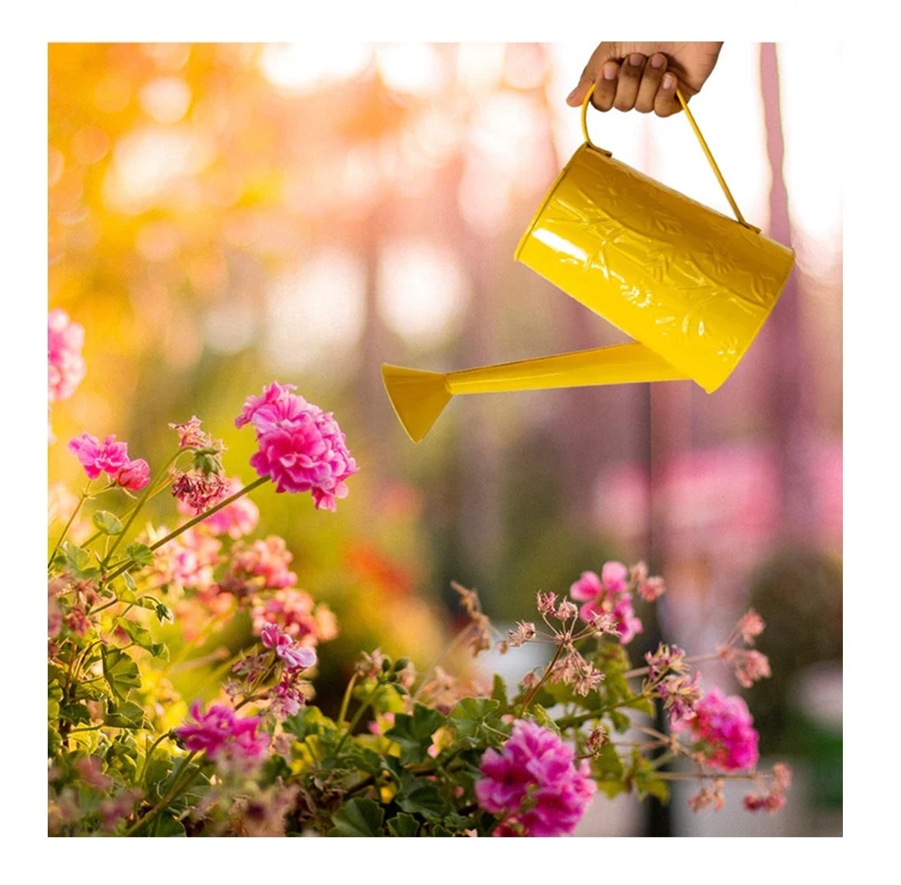 Golden Yellow Watering Can Launched Light Weight Small Steel Galvanized Metal Indoor Plant Can Watering Pot wholesale Supplier