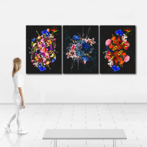 Colorful Flower Bombs Decorative Botanical Pictures Flower Art Painting Wall Art Canvas Print Large Art Painting Modern Style