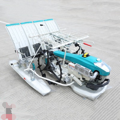 Walk-Behind Manual 6 Rows Paddy Rice Transplanter, Walking Manual Paddy Planter Rice Planting Machine