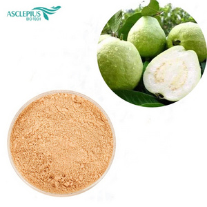 Natural plant guava  powder/ fresh guava /guava concentrate