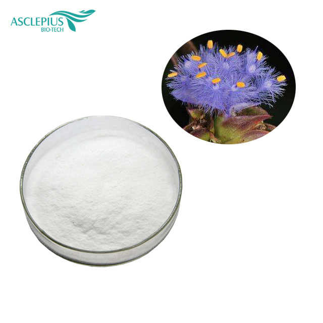 High Quality cyanotis vaga extract powder with beta ecdysterone