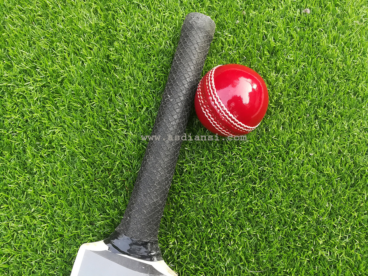 Custom Logo Cricket Ball Hand Stitched 50 Overs High Quality Leather Red White ball cow leather balls