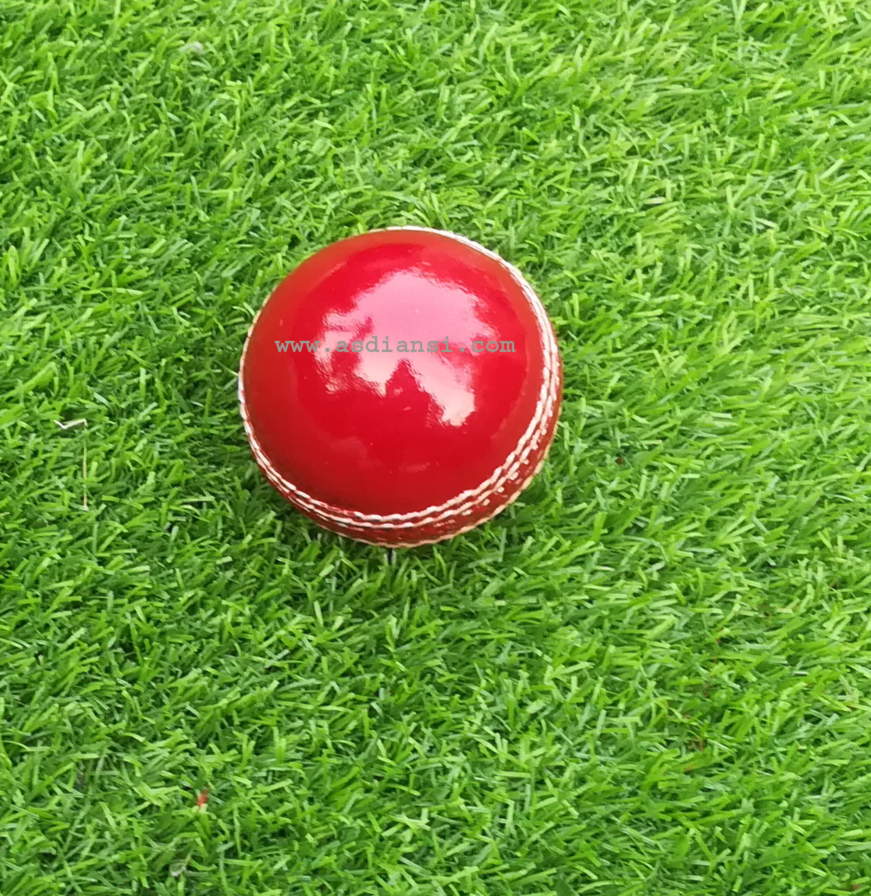 Custom Logo Cricket Ball Hand Stitched 50 Overs High Quality Leather Red White ball cow leather balls