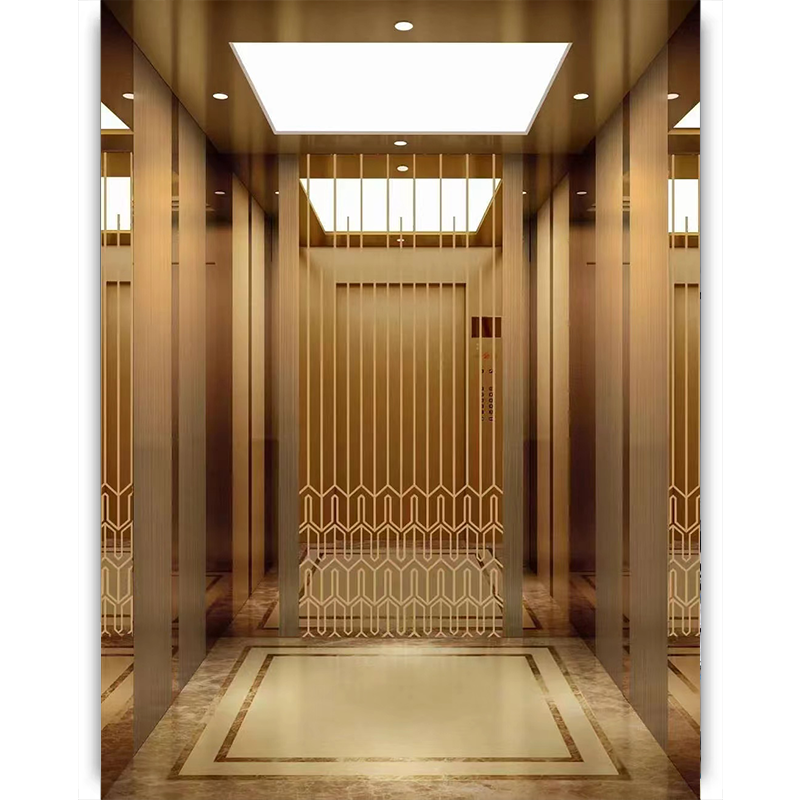 FUJI Elevator Luxury Electric Small Residential 1000kg Passenger Elevator for Sale