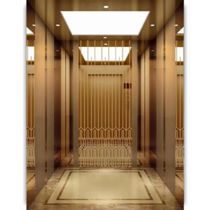 FUJI Elevator Luxury Electric Small Residential 1000kg Passenger Elevator for Sale