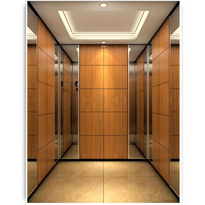 FUJI Elevator Luxury Electric Small Residential 1000kg Passenger Elevator for Sale