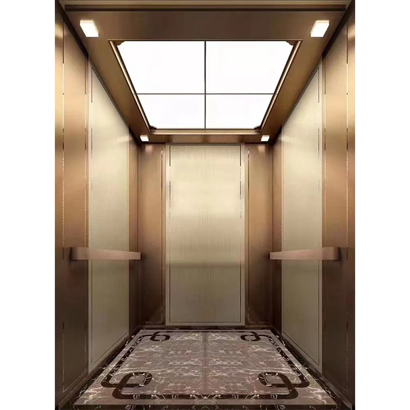 FUJI Elevator Luxury Electric Small Residential 1000kg Passenger Elevator for Sale