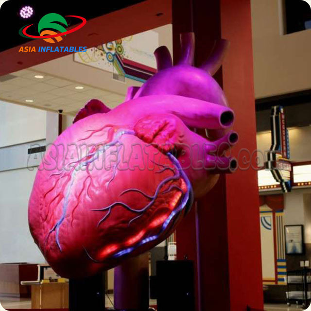 Vivid giant inflatable heart/Inflatable heart Organ for display