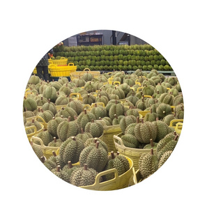 OEM brand Small quantity 2000 kilograms 2022 new season Fresh durian from Thailand - We can only service you as our agent