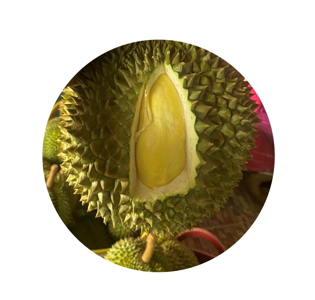 New season 2022 Fresh Durian monthong from Thailand Book now for whole year shipment small MOQ 1000 kgs can ship by Air