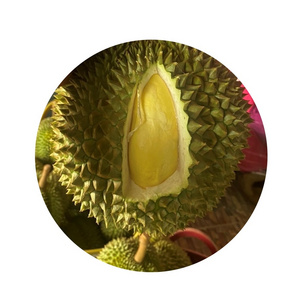 New season 2022 Fresh Durian monthong from Thailand Book now for whole year shipment small MOQ 1000 kgs can ship by Air