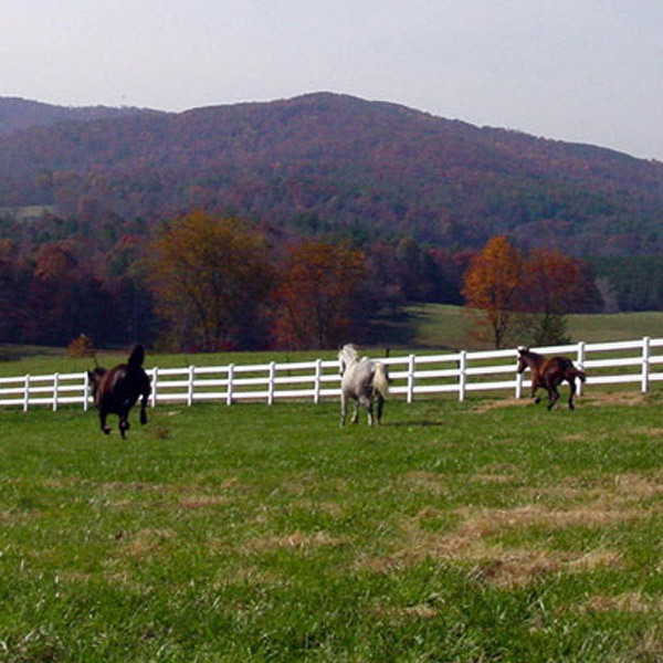 Lead Free Environmental Friendly White 3 Rail Pvc Farm Fence Pvc Fencing Post and Rail Horse Paddock Fence