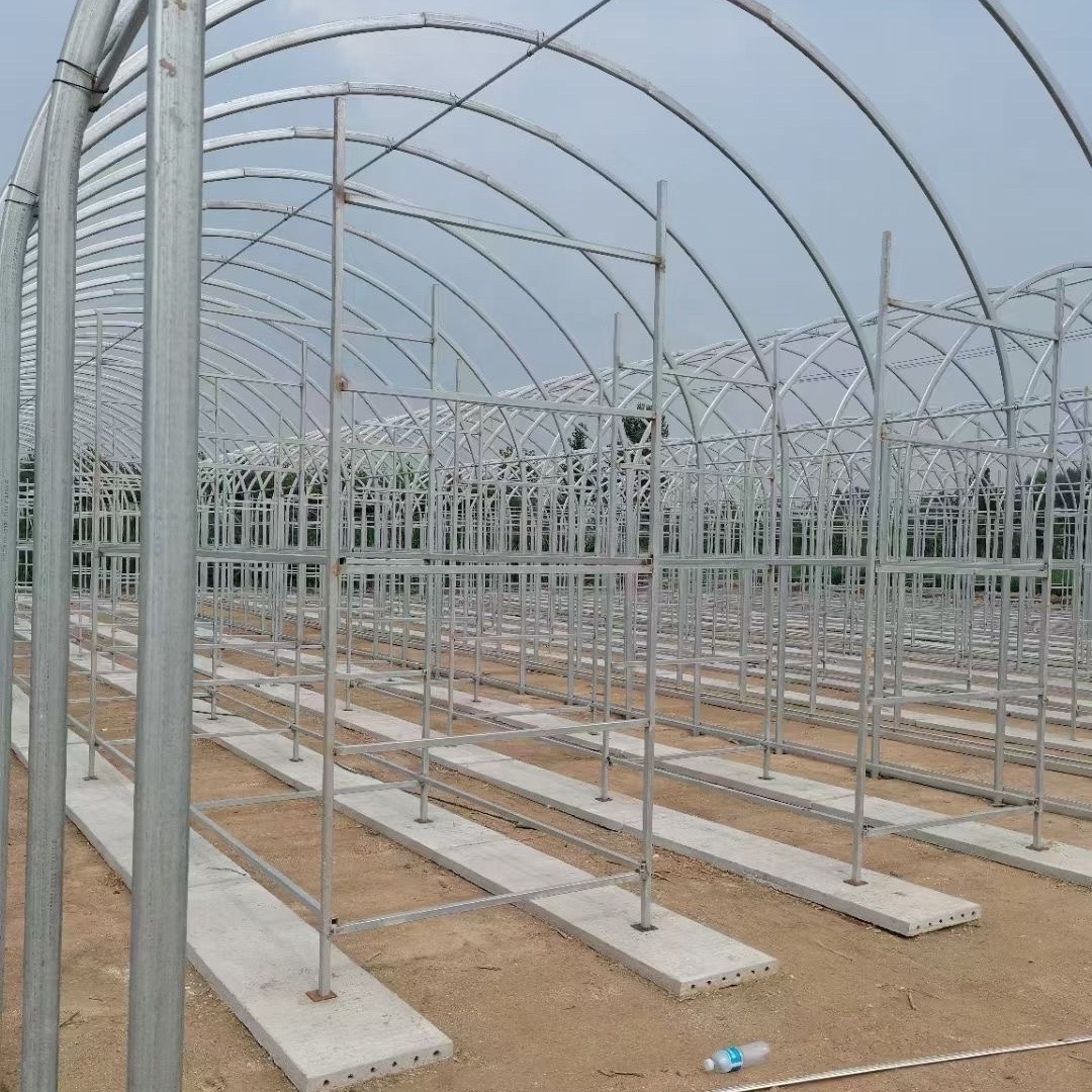 Galvanized Light Heavy Gauge Steel Frame Steel Structure Building