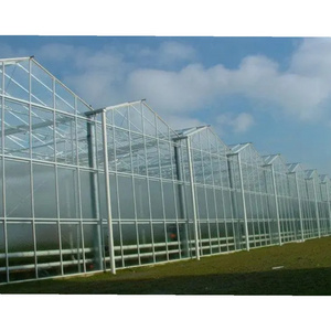 Galvanized Light Heavy Gauge Steel Frame Steel Structure Building