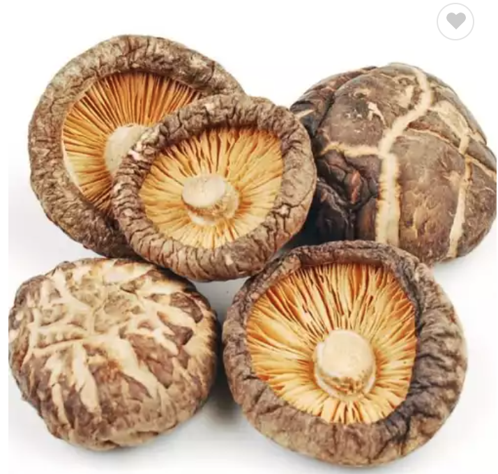 Wholesale Spices Suppliers Buy Shiitake Mushrooms Organic Dried Shiitake Mushrooms For Sale Vietnam exporters