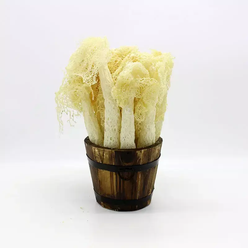 Dictyophora Indusiata Hot Sale Good Quality Dried Dictyophora/bamboo Mushrooms