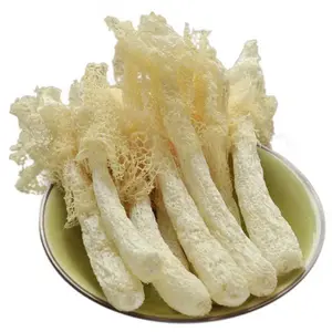 Factory Wholesale Low Price Light Yellow Shelf Life 3 Years Bamboo Fungus Dictyophora