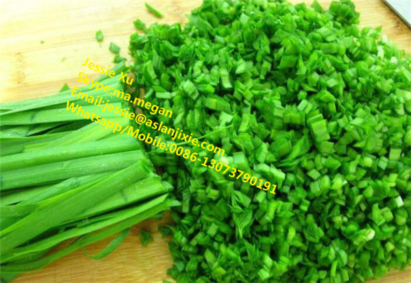 SUS spring onion cutting machine/spring onion cutter slicer shredder