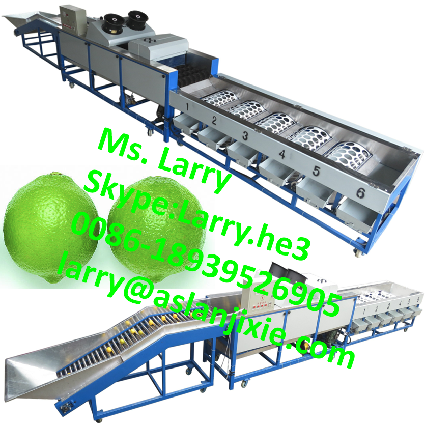 lemon washing waxing machine/lemon washer and sorter/lemon waxing grading machine