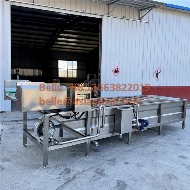 Industrial Bubble Tomato Washing Line Drying Machine Corn Fruit Washer Vegetable Onion Washer Cleaning Machine