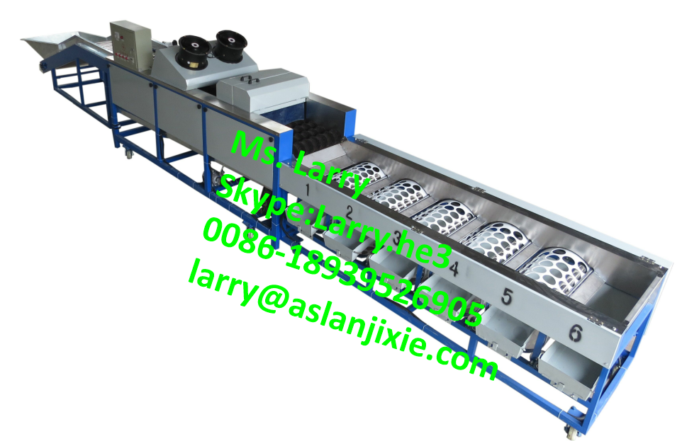 lemon washing waxing machine/lemon washer and sorter/lemon waxing grading machine