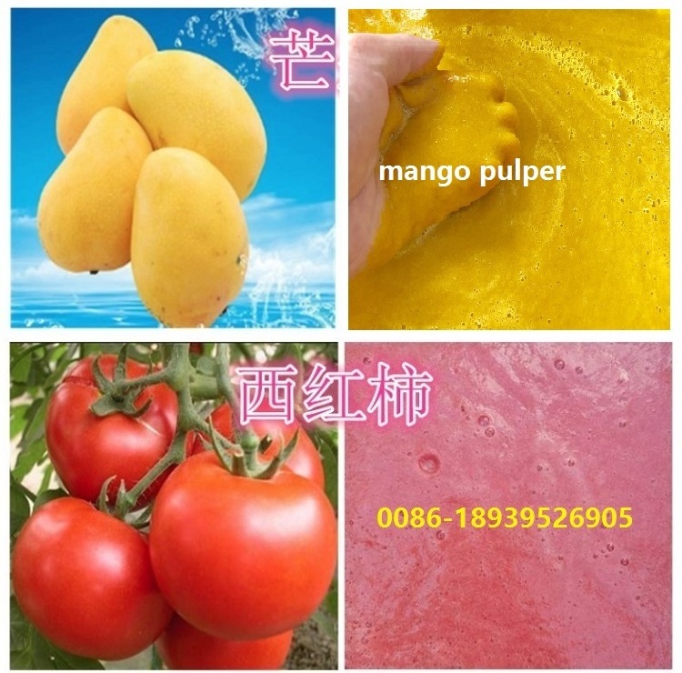 Widely used tomato paste sauce making machine/orange apple lemon juice machine/fruit pulping processing machine