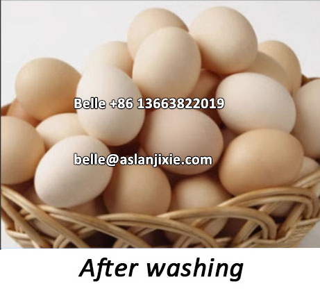 Commercial Salt Water Egg Washing Machine Chicken Duck Egg Mud Cleaning Machine