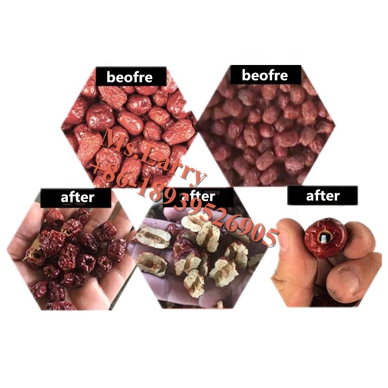 Professional  Cherry pit remover / Olive pitting machine / Plum pitting machine