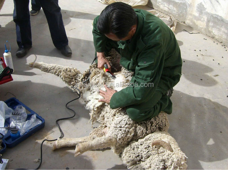 electric sheep wool cutter/sheep wool cutting machine