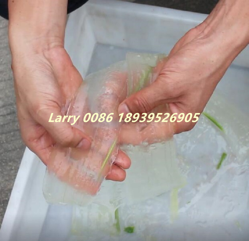 Industrial aleo vera peeler price aloe vera leaf peeling machine aloe vera gel extraction machine