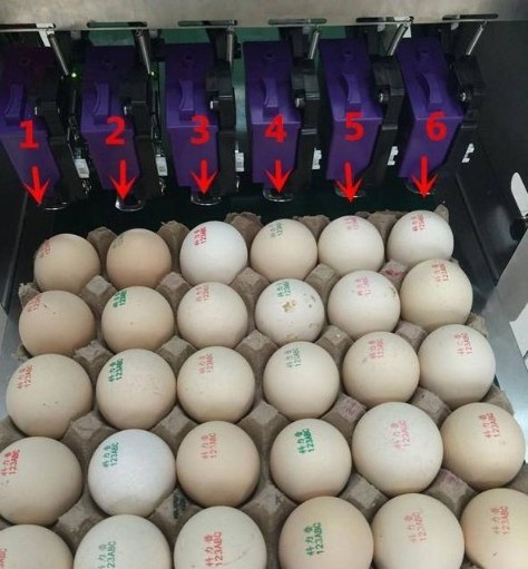 6 ink cartridges egg stamping machine / 30000 pieces egg printer machine / egg logo date printing machine