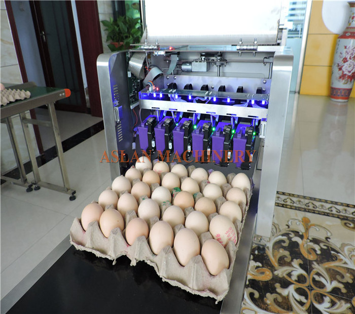 6 ink cartridges egg stamping machine / 30000 pieces egg printer machine / egg logo date printing machine