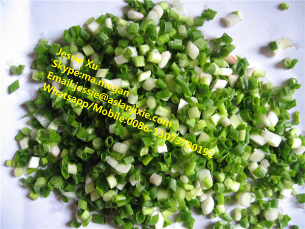 SUS spring onion cutting machine/spring onion cutter slicer shredder