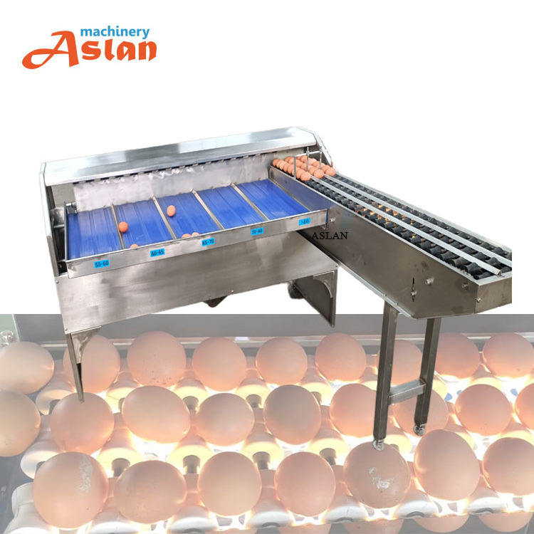 egg weight classifier grader/egg grading packing machine/egg sorter