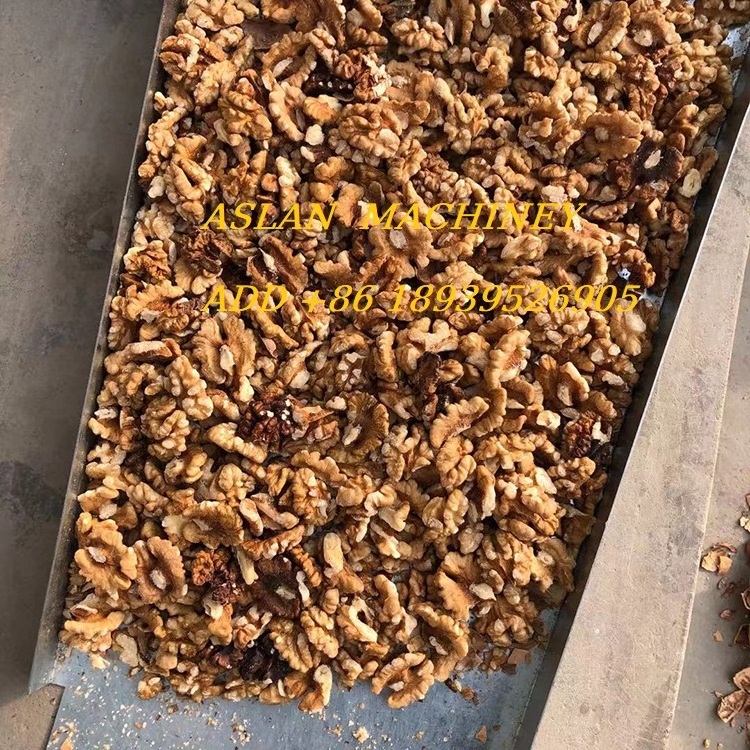 Factory Stainless Steel Walnut Pecan Shelling Machine Walnut Peeler Sheller Breaking Cracking Machine