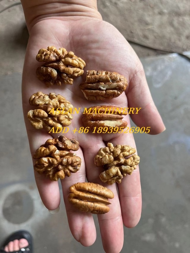 Factory Stainless Steel Walnut Pecan Shelling Machine Walnut Peeler Sheller Breaking Cracking Machine