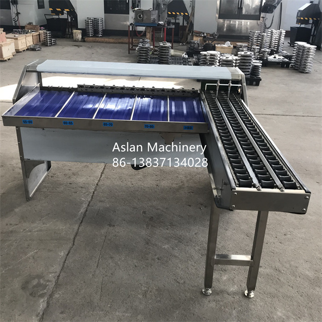 egg weight classifier grader/egg grading packing machine/egg sorter