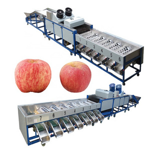 Apple Washing Machine Lemon Waxing Sorting Machine Avocado Grading Machine For Fruit Processing Line