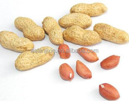 cashew nuts roaster machine / electric or gas grains nuts roasting machine