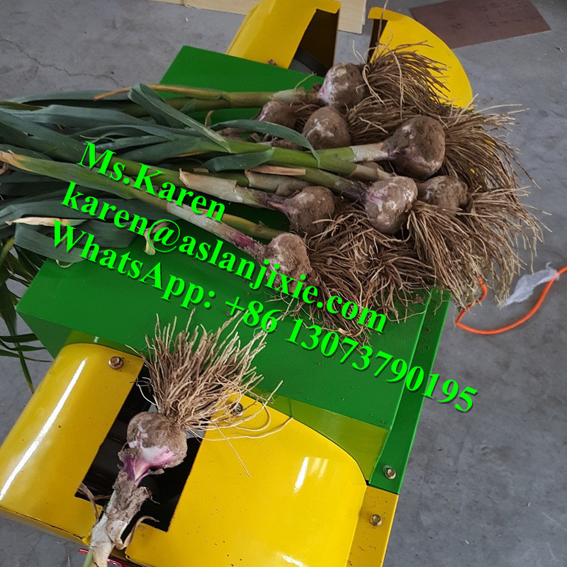 Garlic Root Cutting Machine / Garlic Root Cutter / Garlic Tail Cutter