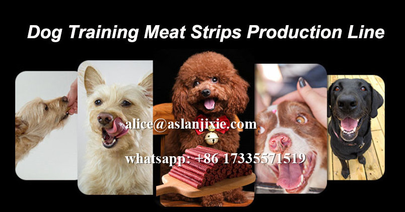 304 stainless Licithin Treats Extruding Line/ Pet food beef strips production making machines