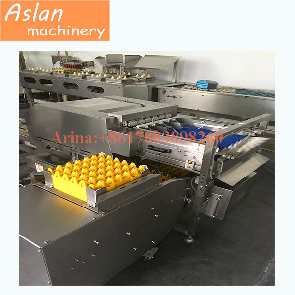 25000pcs/h egg tray packer/ egg grading packing machine for trays/ egg sorter packer machine