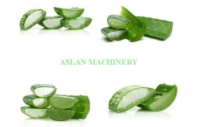 Stainless steel aloe peeler machine/ vera cactus processing machine/aloe extracting machine