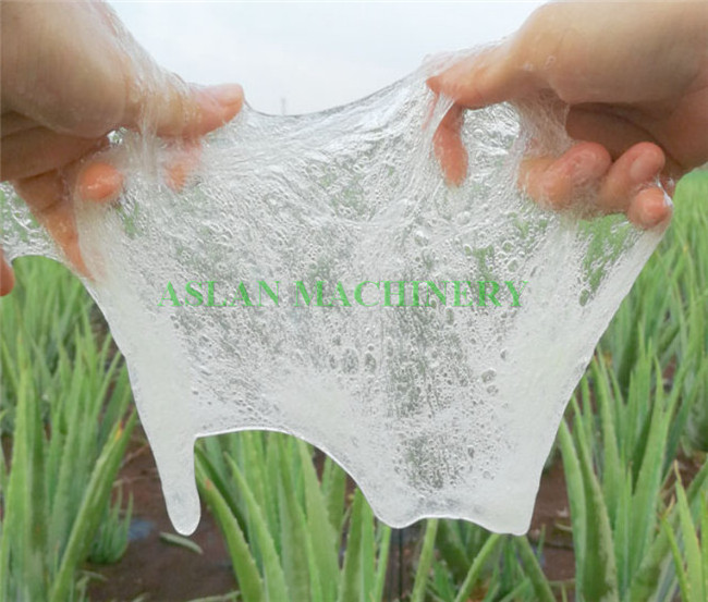 Aloe product processing machine/ cactus gel extraction machine/aloe vera leef peeler extraction machine