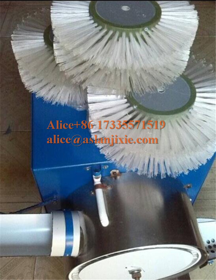 2022 fresh chicken egg washing machine/small goose egg water cleaning machine/single line carbon steel egg brush washing machine