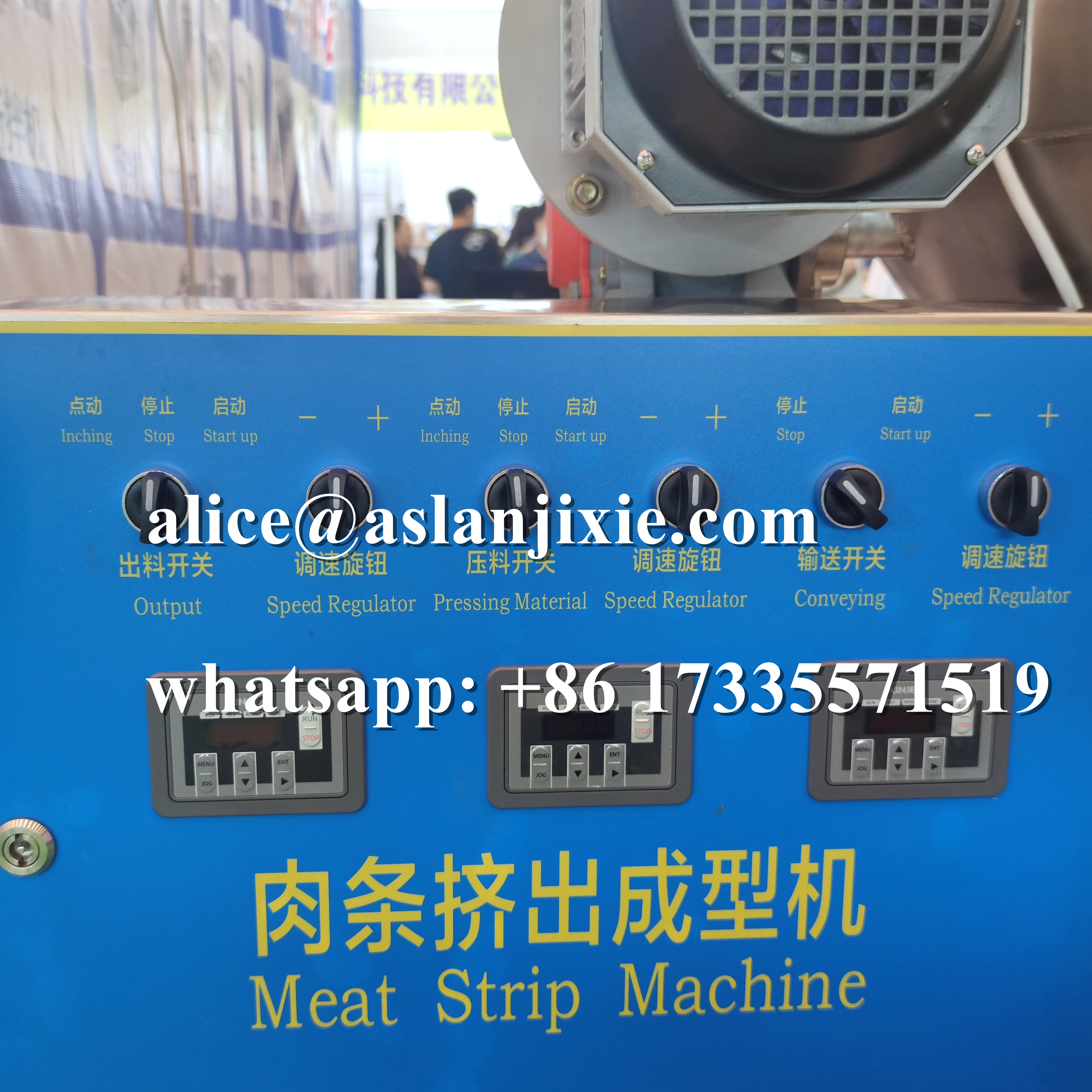 304 stainless Licithin Treats Extruding Line/ Pet food beef strips production making machines