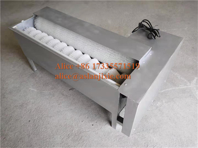 Salted egg washing machine/ household Hen egg brush roller cleaning machine /farm Goose egg cleaning  machine