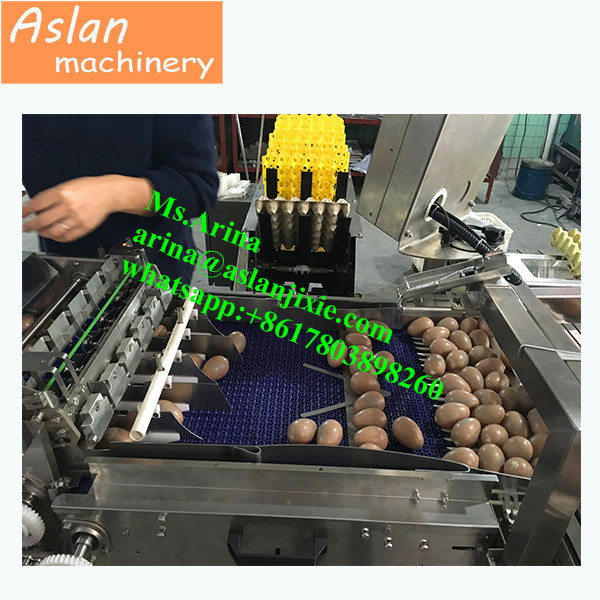 100000pcs/h hen egg tray packing machinery/ automatic duck egg mold packer/ egg packaging machine for trays